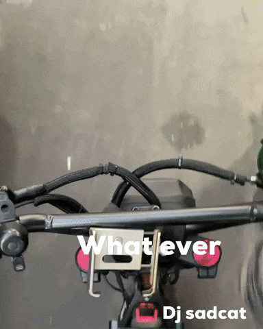 What Ever GIF by dj sadcat