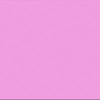 I Love You Kiss GIF by CoinGecko