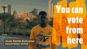 Red2Blue vote batman voting pittsburgh GIF