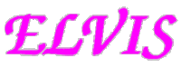elvis presley fan Sticker