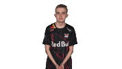 Vbl Rbl Sticker by Bundesliga
