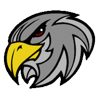 Falcon Yeshiva Sticker by YESHIVAH OF FLATBUSH