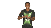 Flipping Vfl Wolfsburg Sticker by Bundesliga