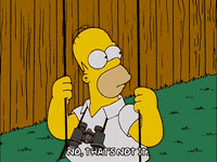 homer simpson GIF