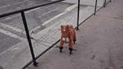 Well Done Thumbs Up GIF by PIXIES