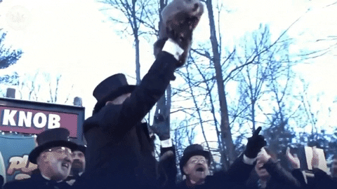 Groundhog Day Winter GIF by Storyful