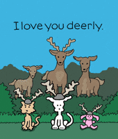 I Love You Cats GIF by Chippy the Dog