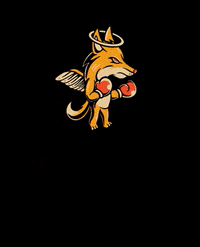foxglovesfightgym fight fox training boxing GIF