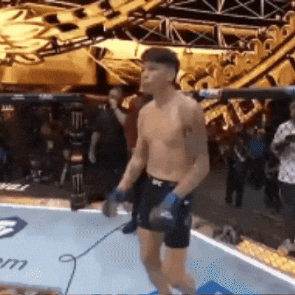 Ufc Chile GIF