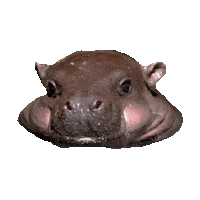 derp STICKER by imoji