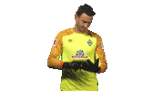 flipping werder bremen Sticker by Bundesliga