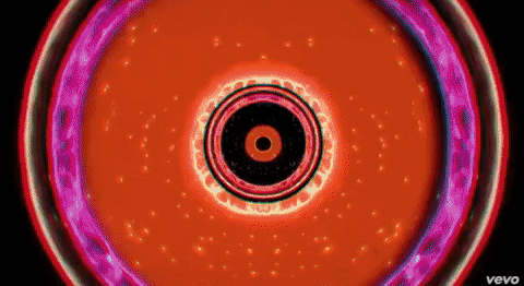 fell in the sun GIF by Big Grams