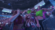 Sport Sean Omalley GIF by UFC