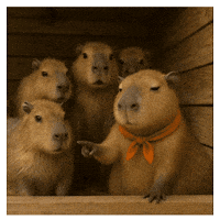 Team Wow GIF