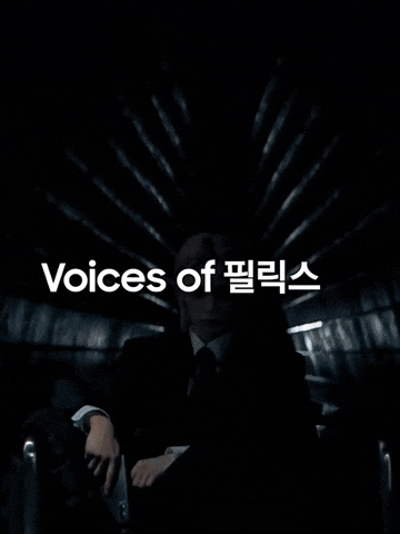 Stray Kids Skz GIF