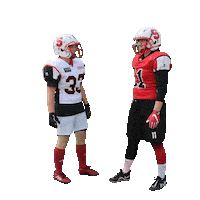 stuttgartscorpionssisters sisters stuttgart highfive americanfootball Sticker