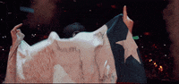 chile heatwave GIF
