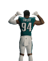 Fly Eagles Fly Dance Sticker by Philadelphia Eagles