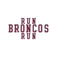 Go Broncos Sticker by Santa Clara Broncos