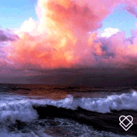 GIF by LOLALOLA