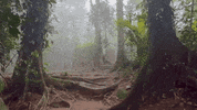Loop Photography GIF by Trauminsel Reisen
