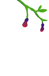 Flower Drip Sticker