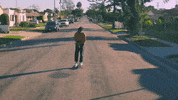duckwrth duckwrth bernal heights GIF