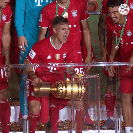 Dfb Pokal Trophy GIF by FC Bayern Munich