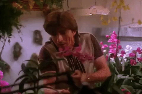 season 2 episode 6 GIF by Twin Peaks on Showtime