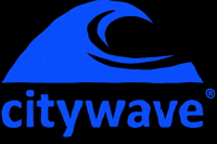 citywave fun surf surfing storytime GIF