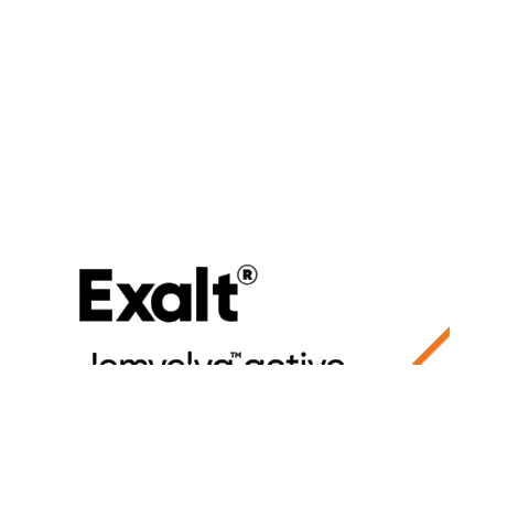 Exalt Sticker by Cortevapy