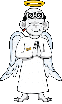Good Vibes Thanks Sticker by Zhot
