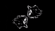 wolves easy tiger GIF by Portugal. The Man
