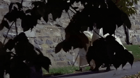 narmonana giphygifmaker exorcist GIF