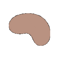 TiimoApp bean tiimo organicshape tiimoapp Sticker