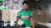 Rugby League Nrl GIF by Canberra Raiders
