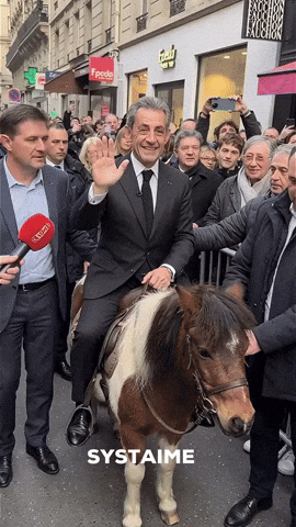 Sarkozy GIF by systaime