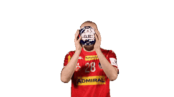 HandballAustria handball ohb handball austria gerald zeiner Sticker