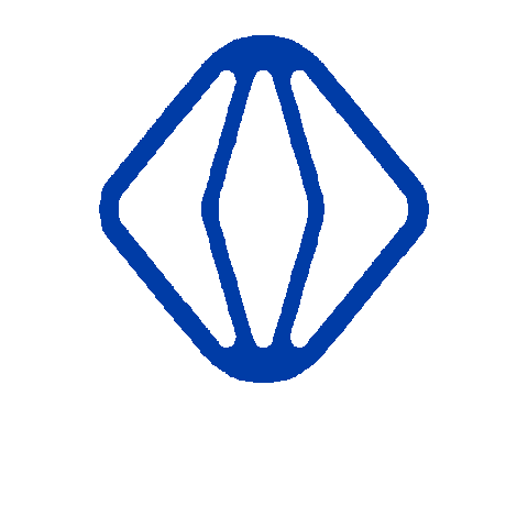 vsight giphygifmaker vsight Sticker