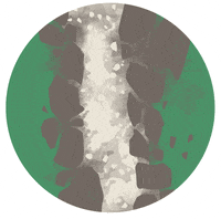 new england wall GIF by Primer