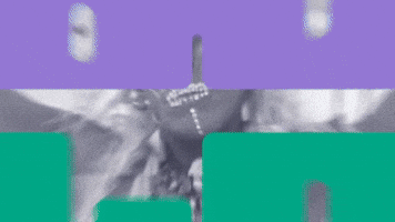 WALKING BREAD @ Museum Brot und Kunst - Welternähr