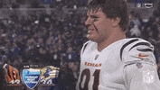 National Football League No GIF by NFL