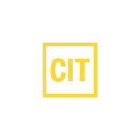 Cit Sticker by BIG IDEA