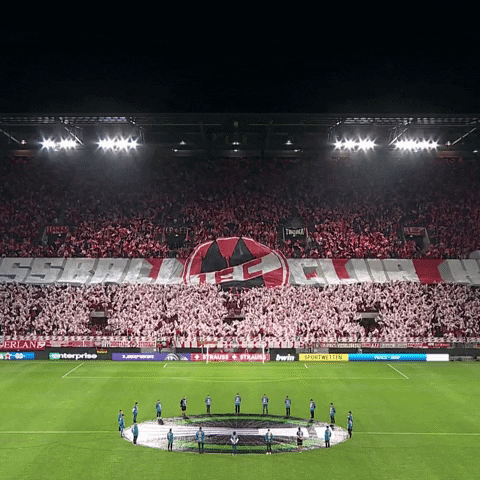 1 Fc Cologne Football GIF by 1. FC Köln