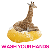 Agency Quarantine GIF by Giraffes