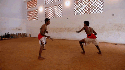 martial arts india GIF by Digg