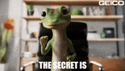 Stare Staring GIF by GEICO