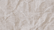 Reggaeton Newsletter GIF by reggaetonconlagata