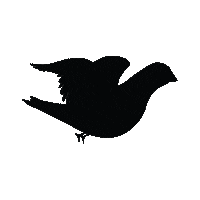 dynart blackbird animatedbird dynart Sticker