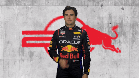 Red Bull Sport GIF by Oracle Red Bull Racing